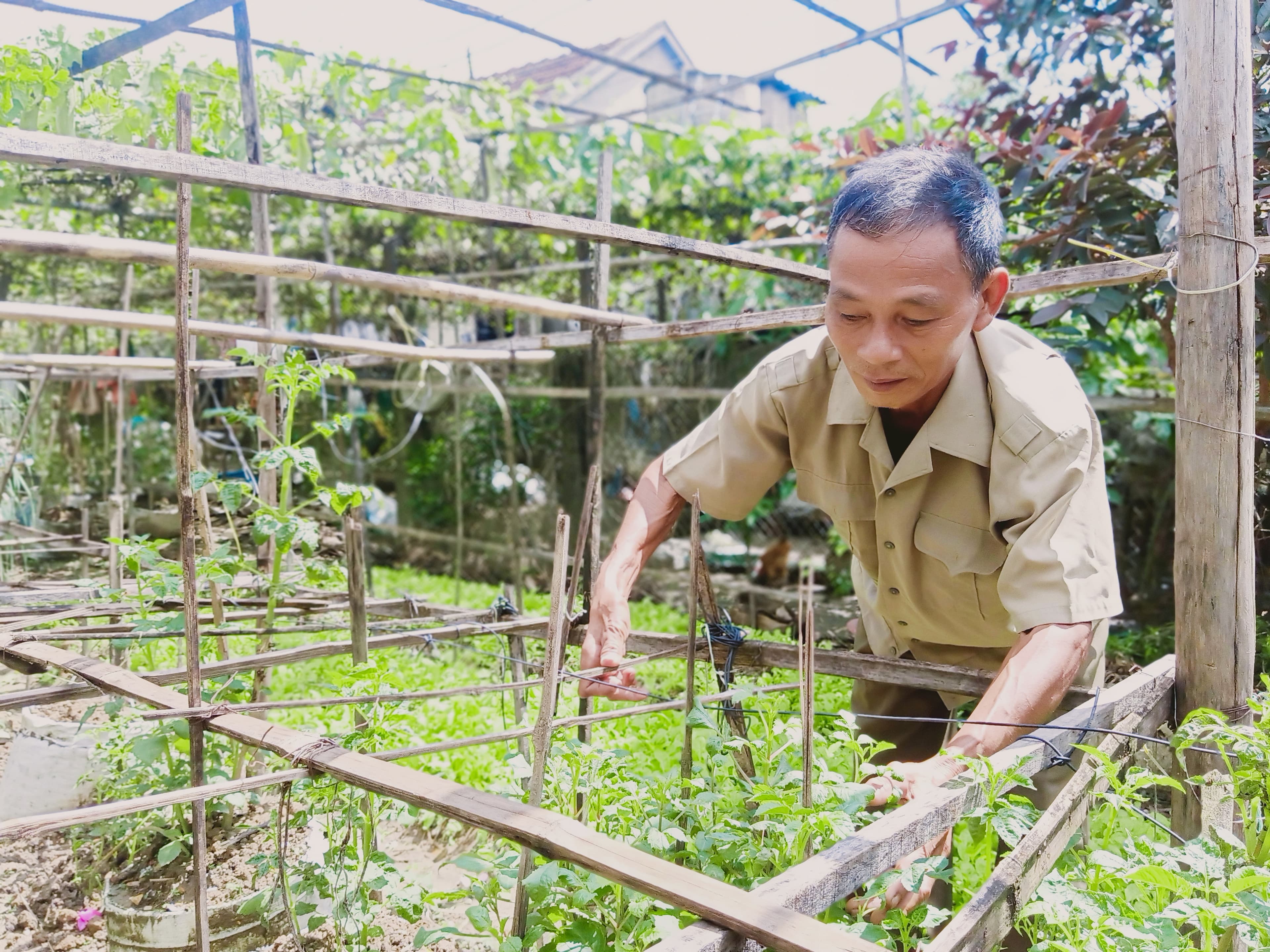 Cựu chiến binh vượt khó