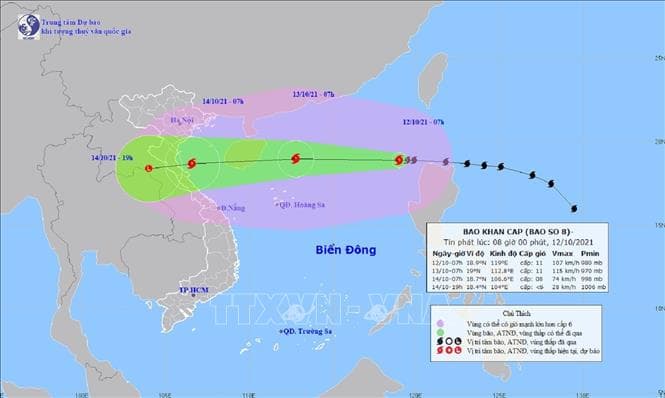 Đêm nay và ngày mai, bão số 8 gây ảnh hưởng những vùng biển nào?