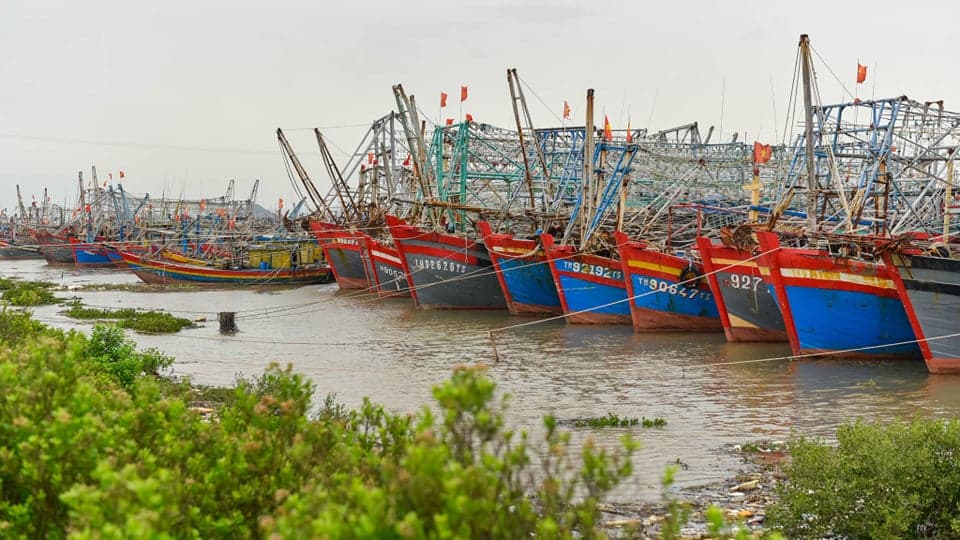 Thanh Hóa có 12 huyện nằm trong vùng nguy cơ cao do bão số 8