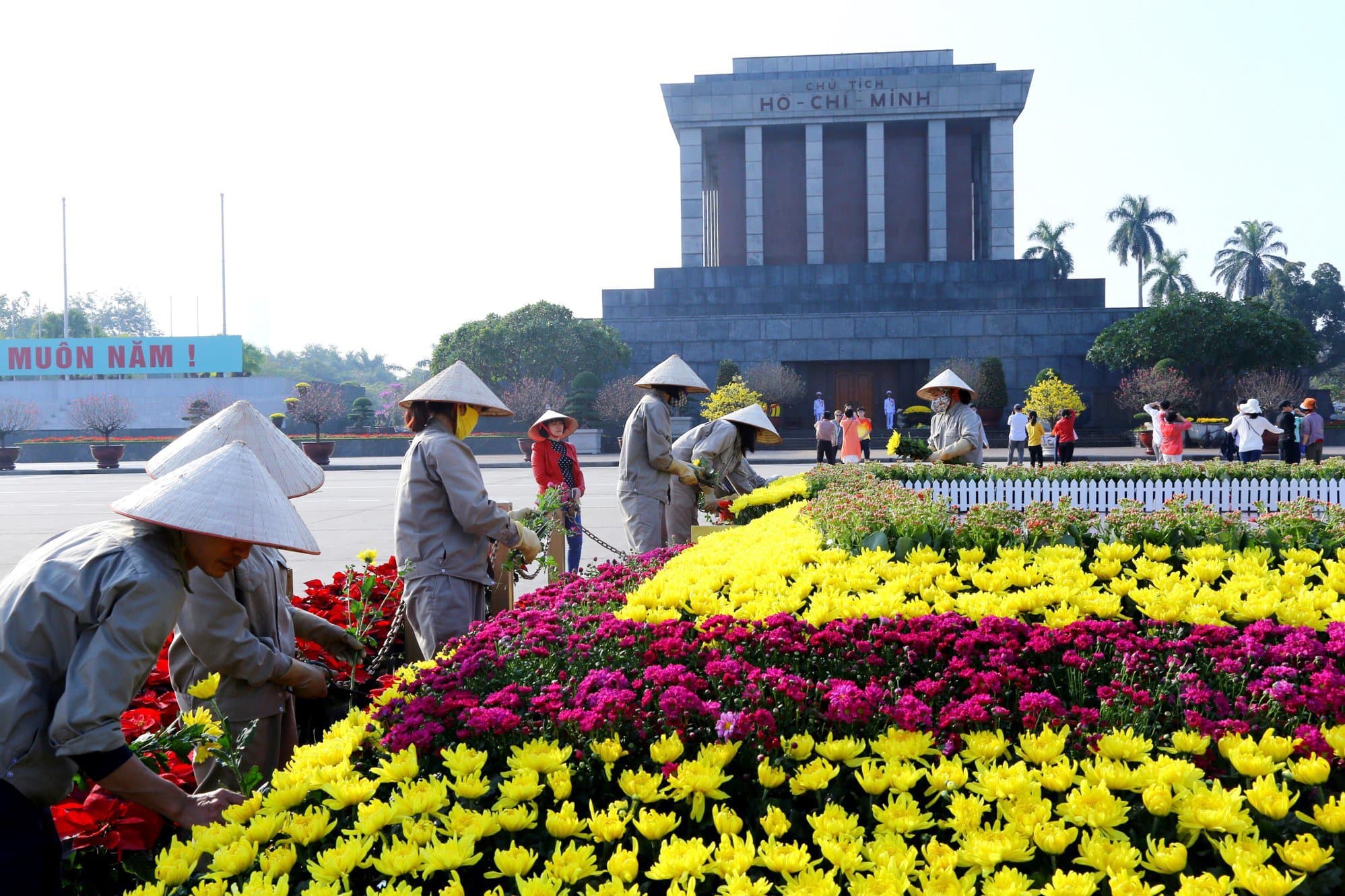 Những bông hồng ngát hương bên Lăng Bác