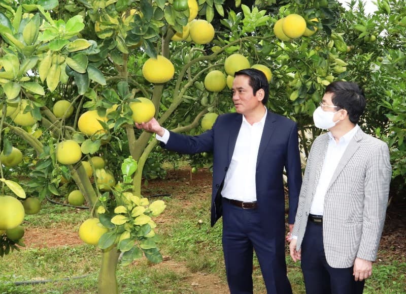 Cần có cơ chế đặc thù để phát triển nông thôn miền núi