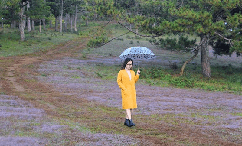 Đà Lạt nhộn nhịp du khách
