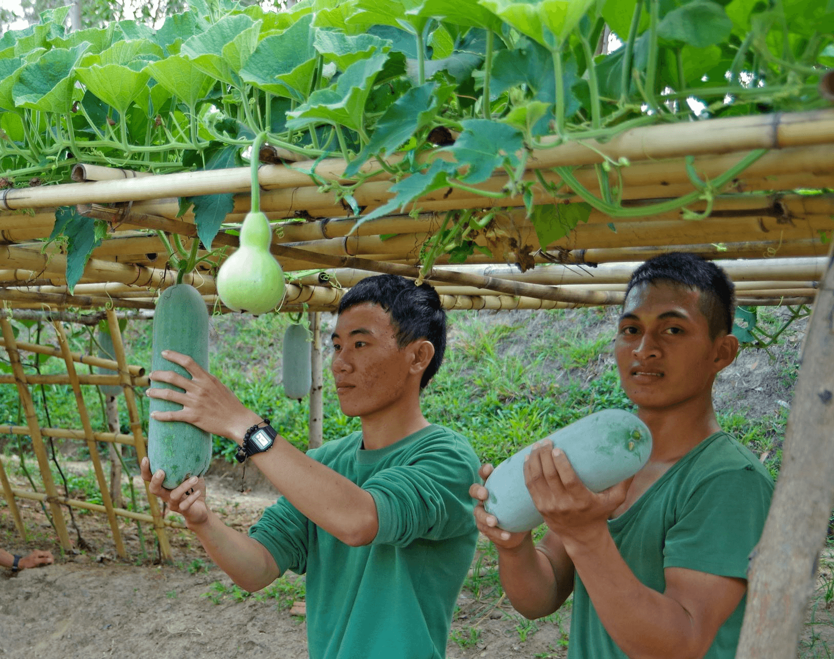 “Mục tiêu kép” từ mô hình tăng gia, chăn nuôi