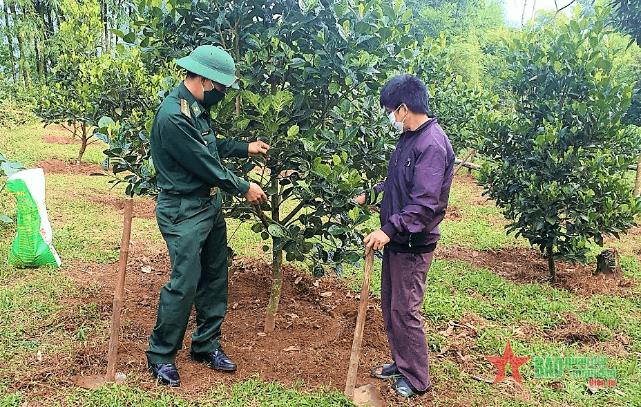 Bộ đội Biên phòng Tri Lễ - cắm bản giúp dân xóa đói, giảm nghèo