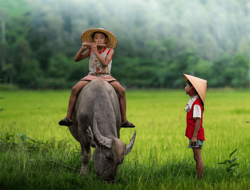 Tuổi thơ tôi!