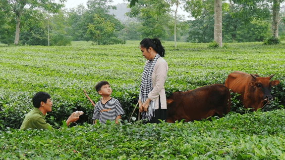 13 tác phẩm của Điện ảnh Quân đội nhân dân tham dự Liên hoan Phim Việt Nam lần thứ XXII