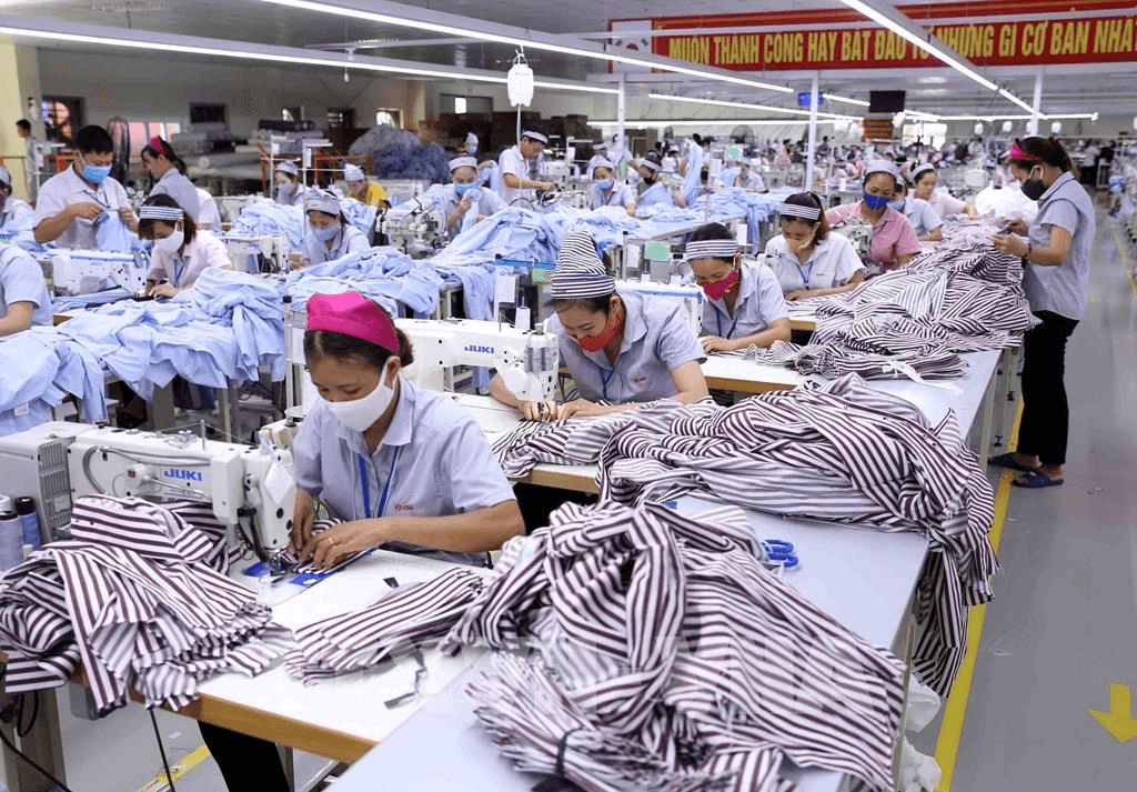 Ngày 20-12 là hạn cuối nộp hồ sơ đề nghị hỗ trợ với lao động dừng tham gia bảo hiểm thất nghiệp