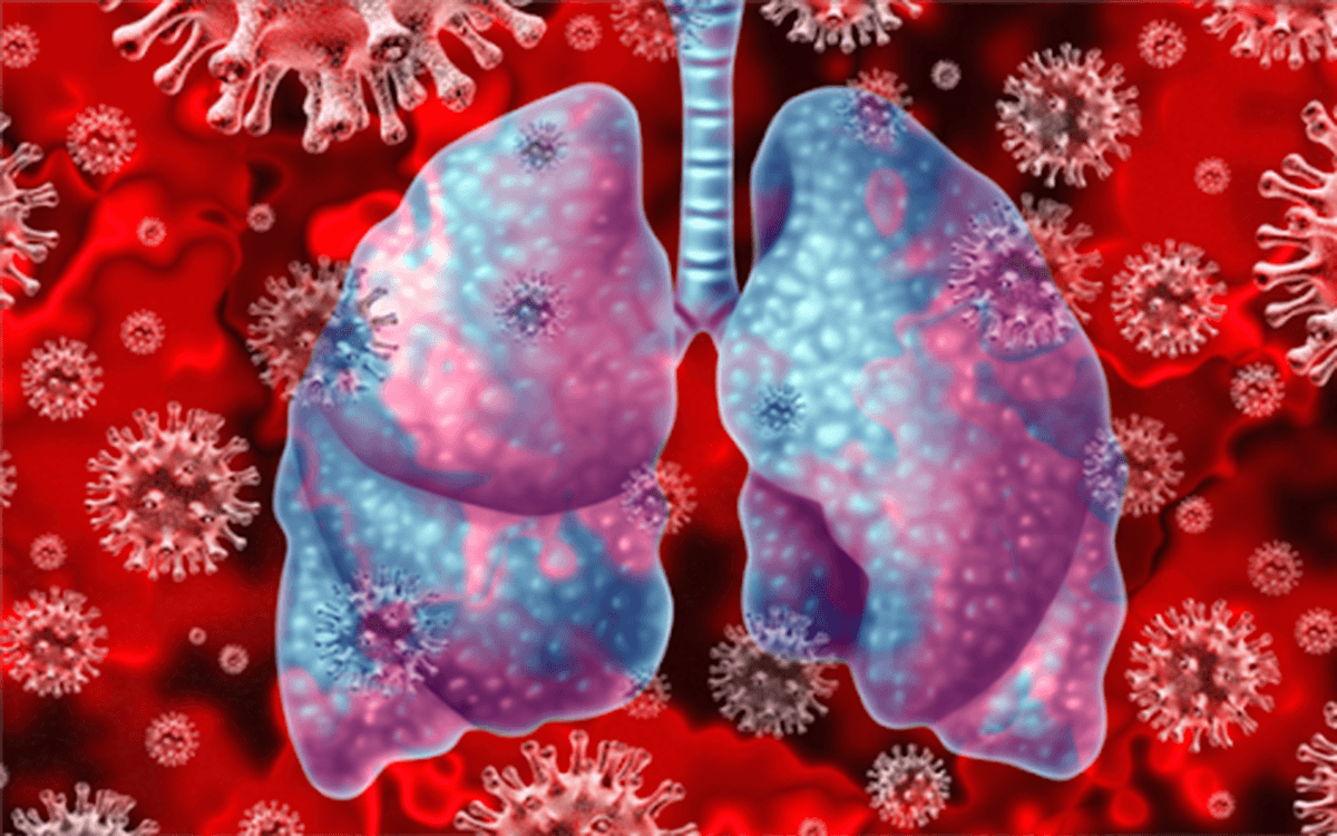 Hỏi – Đáp về Covid-19: Bão Cytokine ở bệnh nhân Covid-19 có nguy hiểm không?