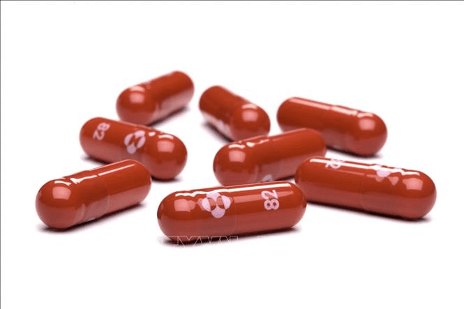 FDA Mỹ khuyến cáo không dùng thuốc Molnupiravir cho phụ nữ mang thai