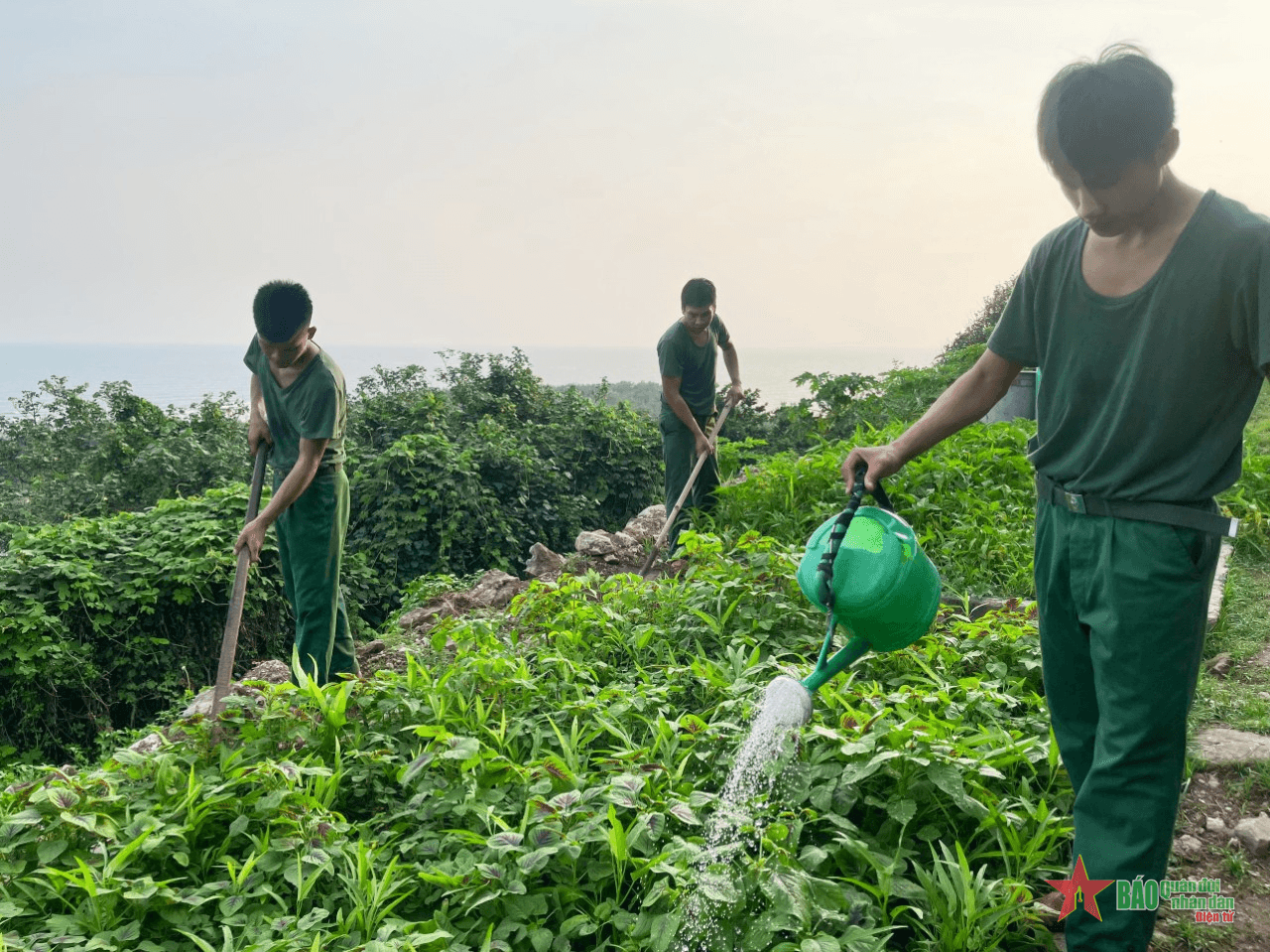 “Thực túc” trên đảo tiền tiêu
