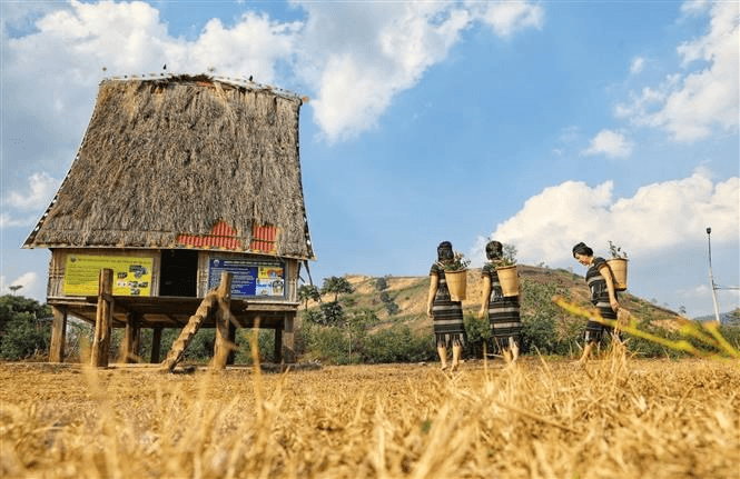 Giữ gìn, phát huy giá trị văn hóa nhà rông