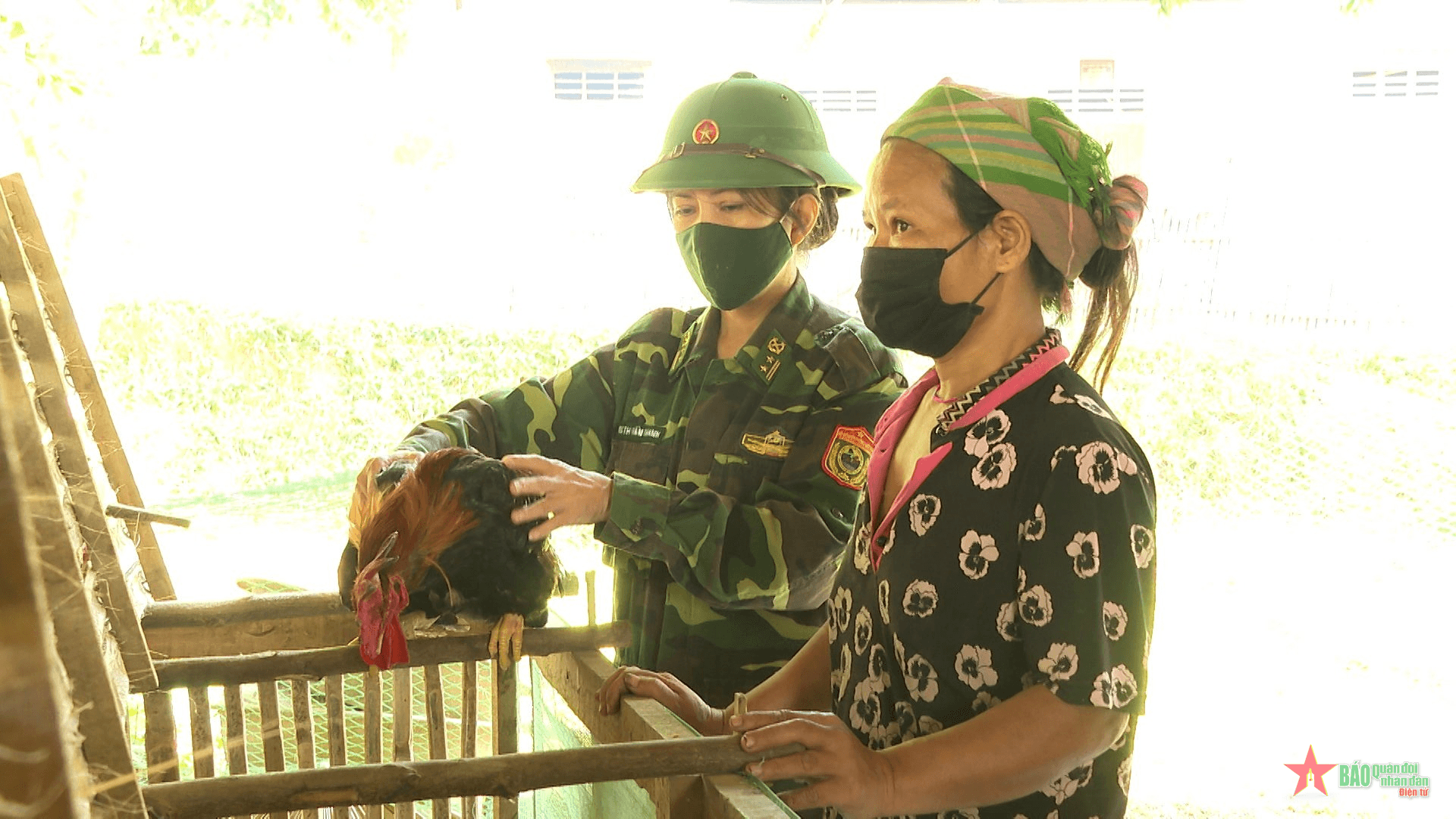 Bộ đội giúp dân xóa nghèo