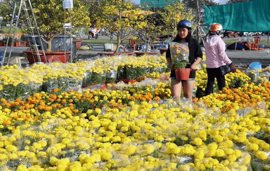 Thời tiết Tết Dương lịch 2022: Miền Bắc trời hửng nắng, miền Trung ít mưa, miền Nam ngày nắng