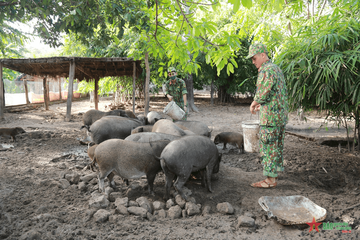 Hai "kiện tướng" chăn nuôi