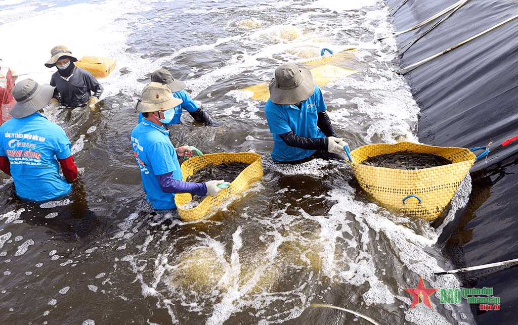 Xuất khẩu thủy sản vượt khó, bứt phá thành công