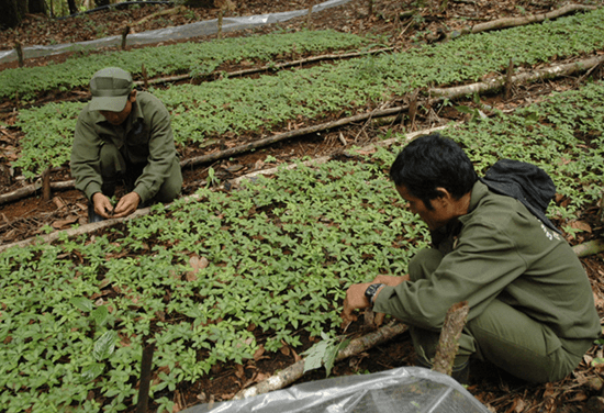Không để người tiêu dùng chịu thiệt