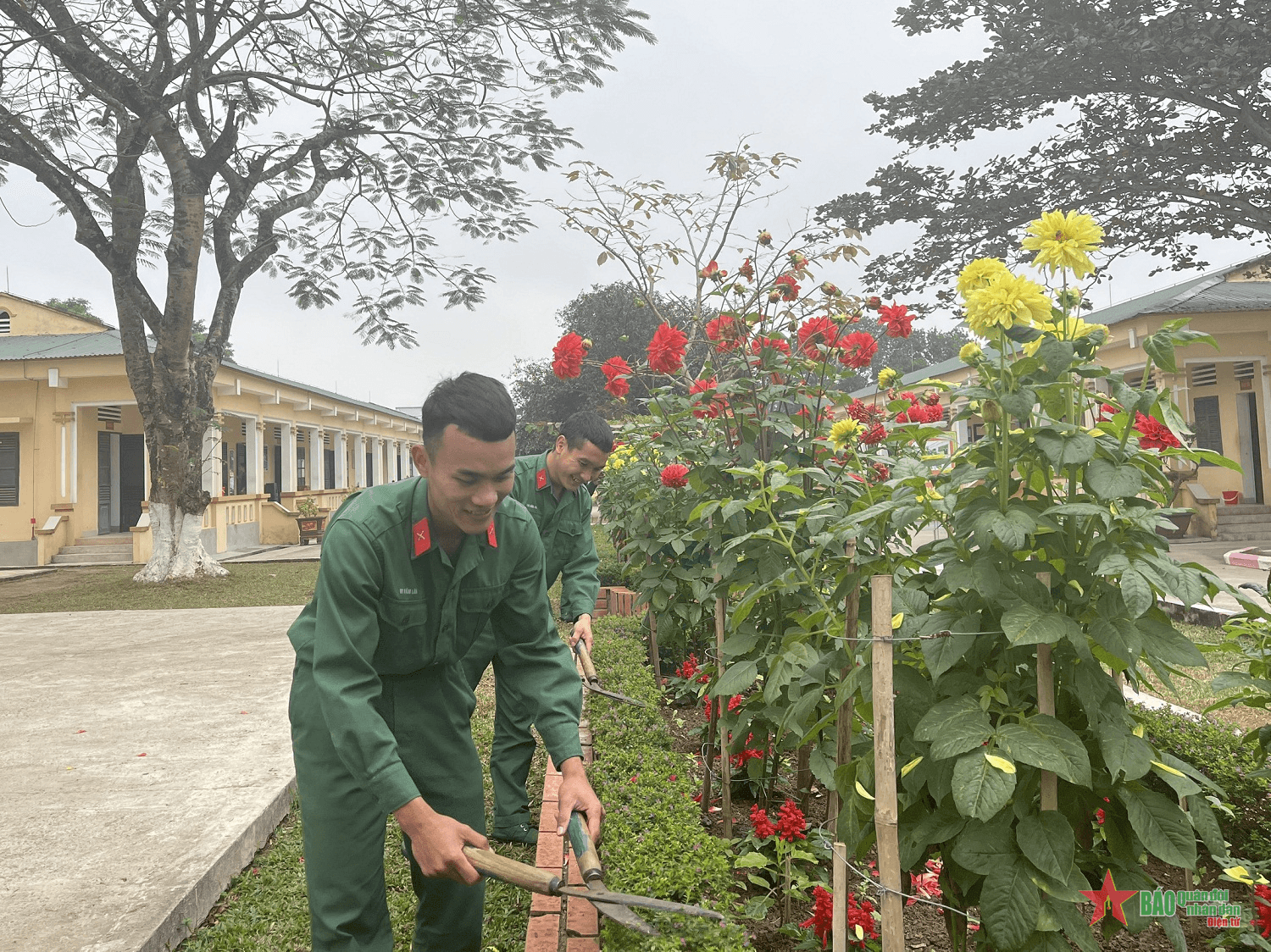 Giúp Vi Văn Lâm nuôi hai em ăn học