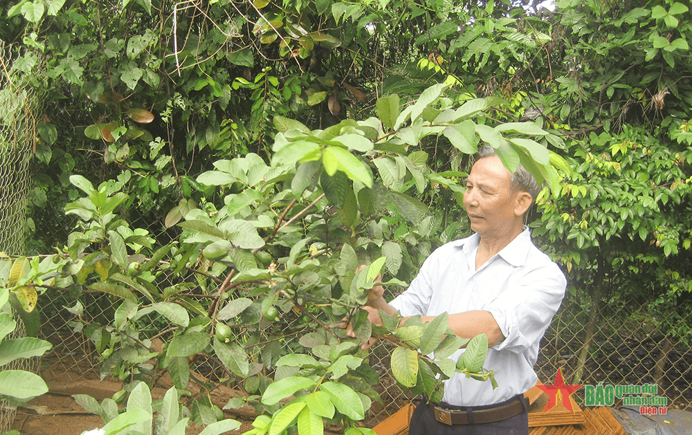 Người thương binh mẫu mực trên quê hương mới