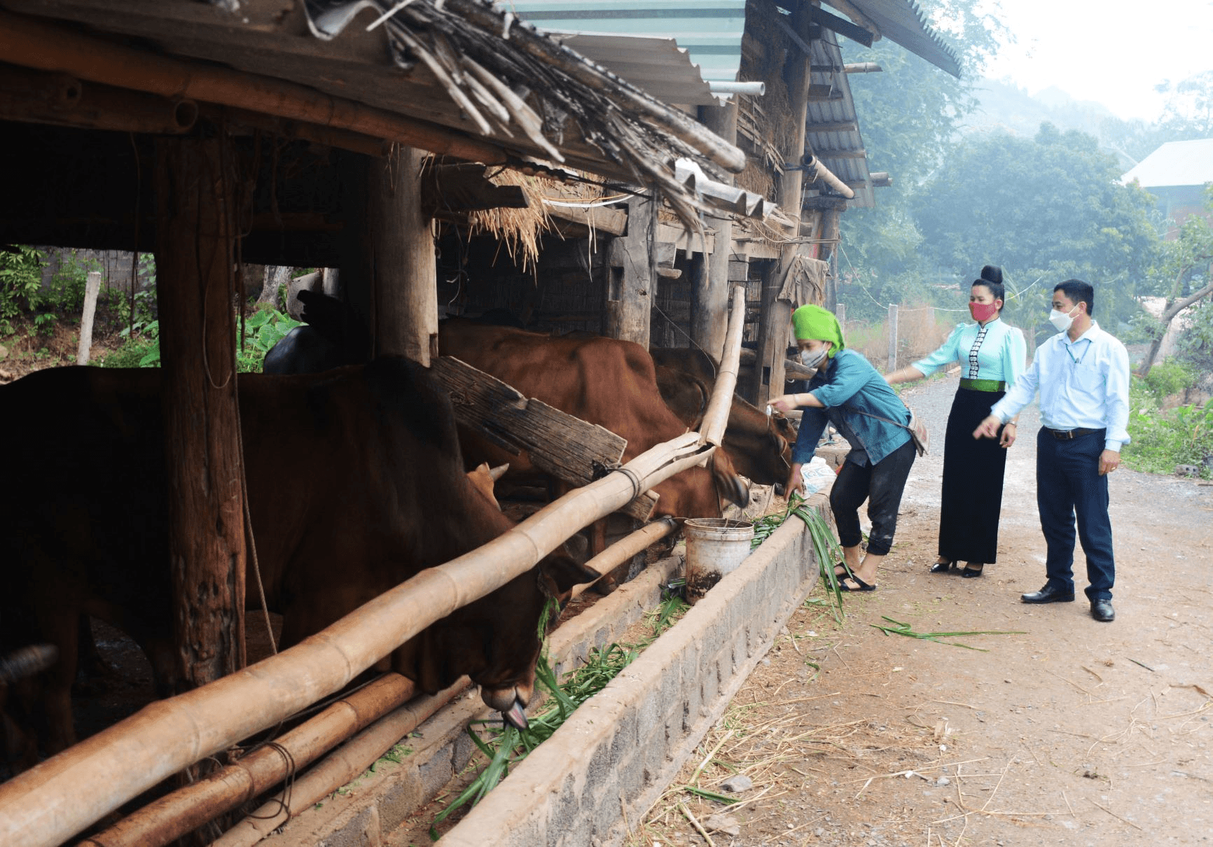 Đảng trong lòng dân Tây Bắc - Bài 4: Không để khát vọng muôn đời rơi trên lưng núi