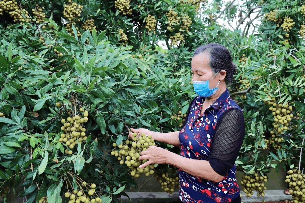 Không chỉ là thay đổi phương thức vận tải