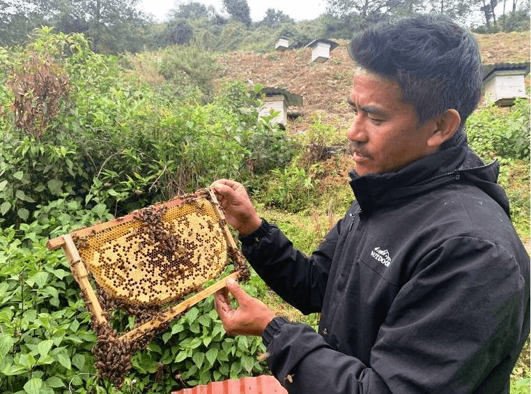 Thời tiết thất thường ảnh hưởng lớn đến nghề nuôi ong mật ở Nepal