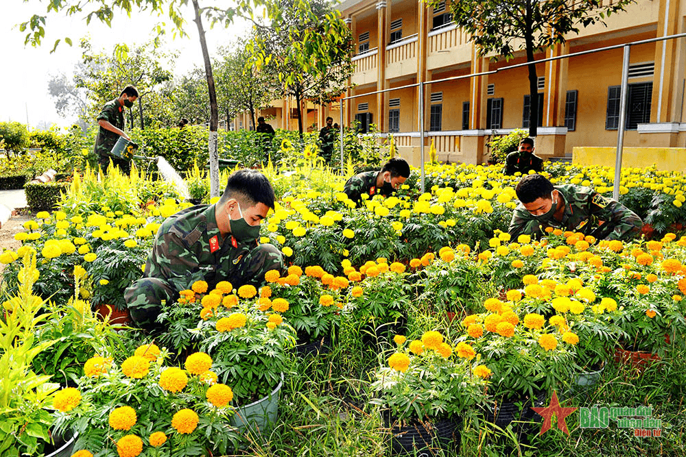 Rộn ràng đón xuân mới