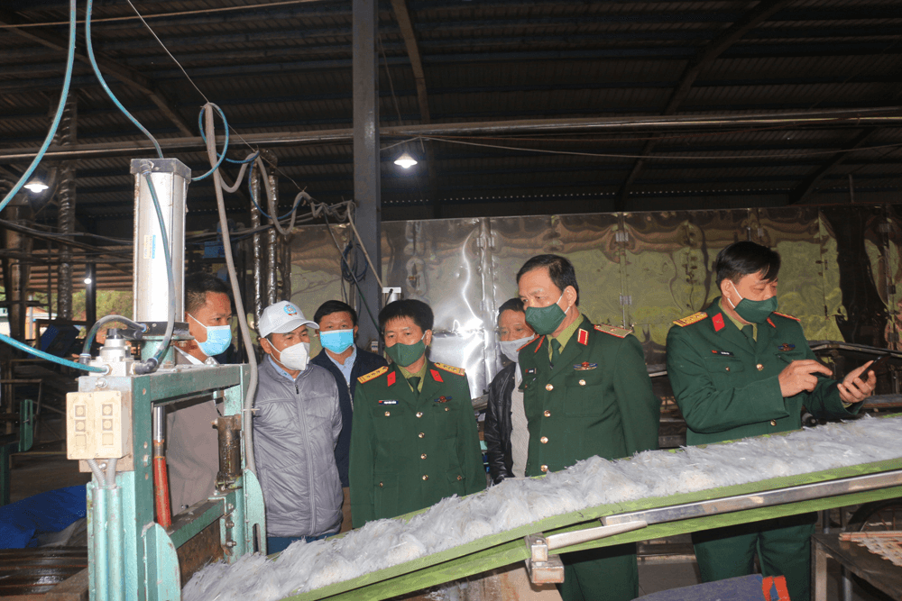 Xuân về trên đất nước Triệu Voi