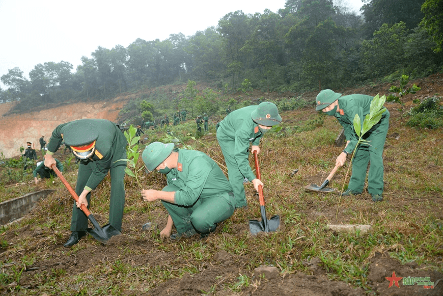 Các đơn vị tổ chức "Tết trồng cây đời đời nhớ ơn Bác Hồ" Xuân Nhâm Dần 2022