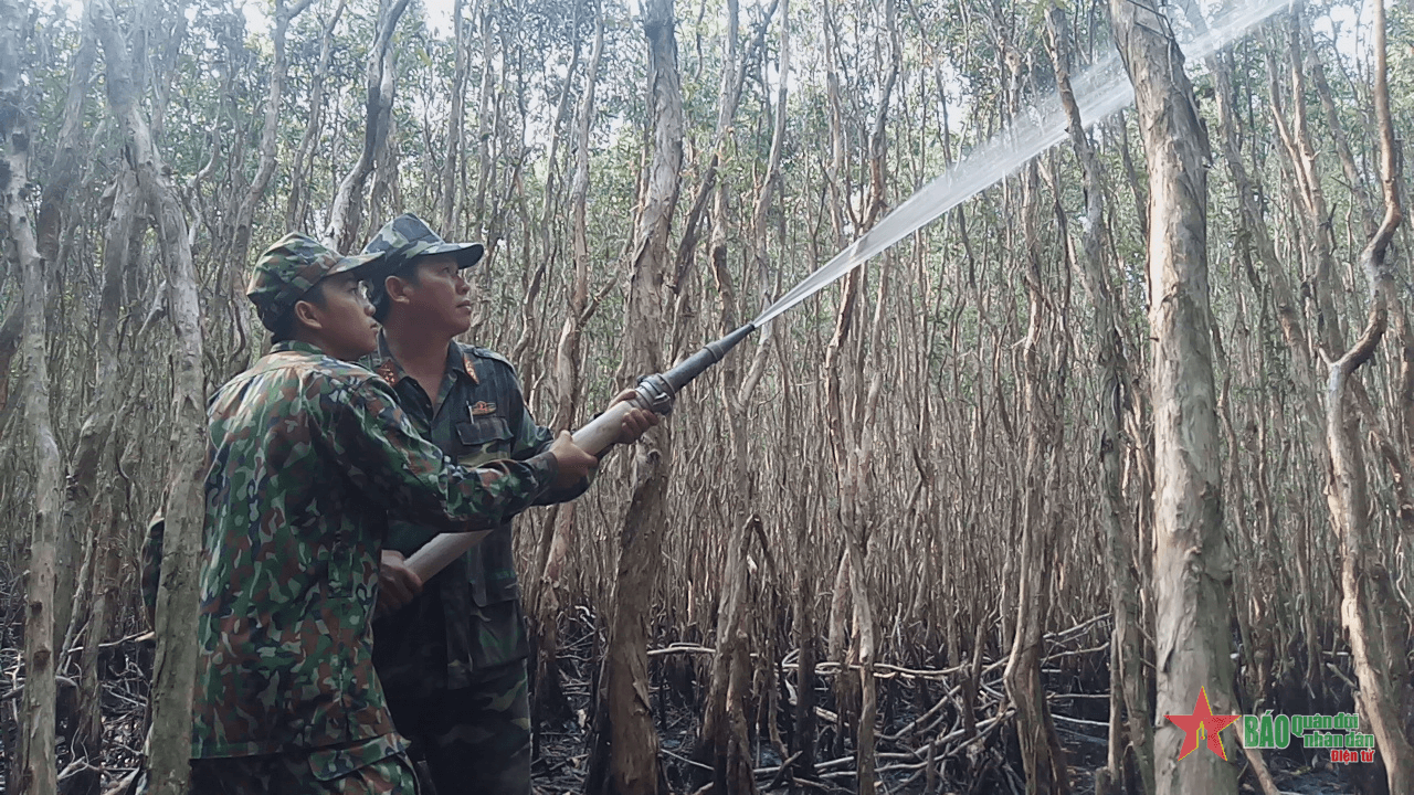 Bảo vệ “lá phổi xanh” vùng tứ giác Long Xuyên