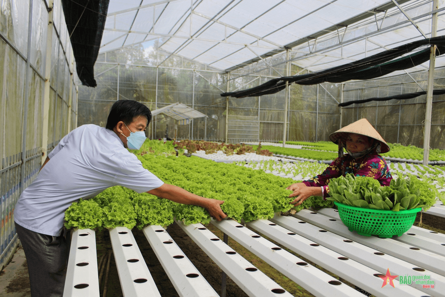 Nông nghiệp Hậu Giang bắt nhịp với chuyển đổi số