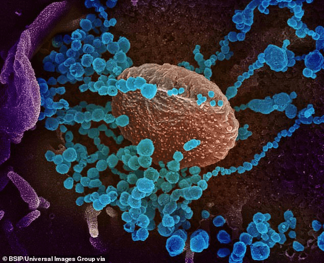 Dịch cúm Nga cách đây hơn 130 năm có thể do virus corona gây ra