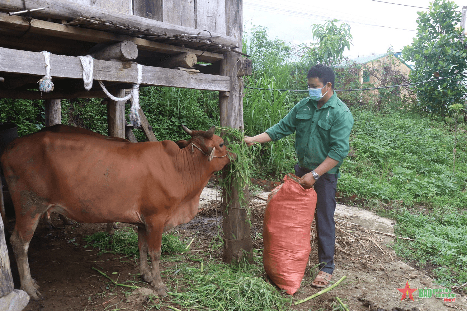 Bí thư chi bộ gương mẫu
