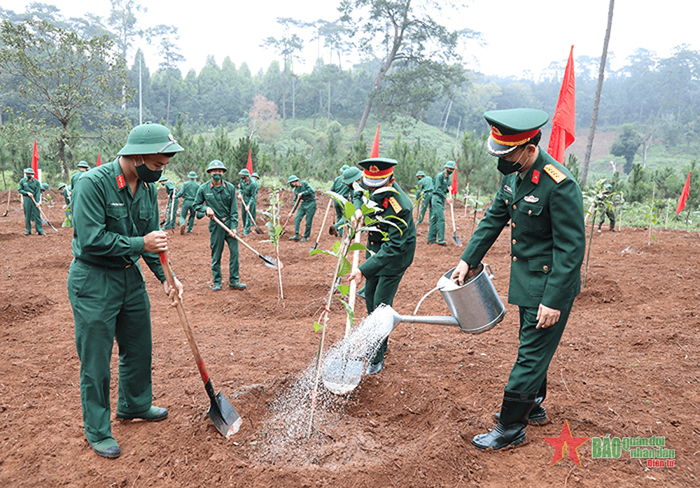 Hưởng ứng Tết trồng cây, vì một Việt Nam xanh