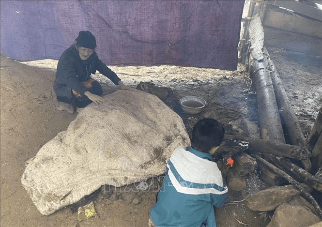 Rét đậm, rét hại gây thiệt hại hàng nghìn con gia súc tại Bắc Bộ và Nghệ An