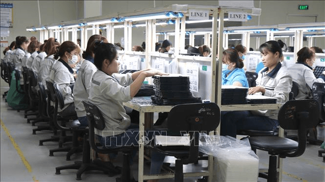 Hơn 500 công nhân Công ty DaeYun đã trở lại làm việc