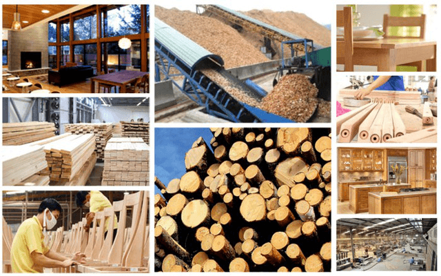 Đặt mục tiêu xuất khẩu gỗ và lâm sản đạt 20 tỷ USD vào năm 2025