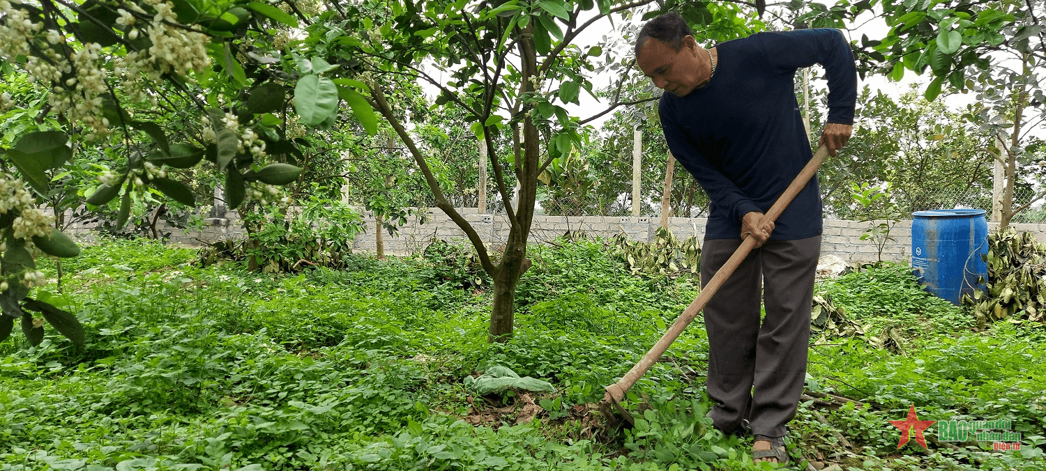 Phát triển nông nghiệp, nông thôn ở huyện Thạch Thất (Hà Nội)