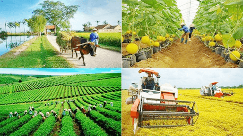 Khẩn trương hoàn thiện hồ sơ giao vốn các chương trình mục tiêu quốc gia