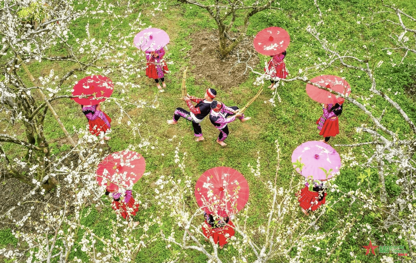 Hấp dẫn Tà Xùa