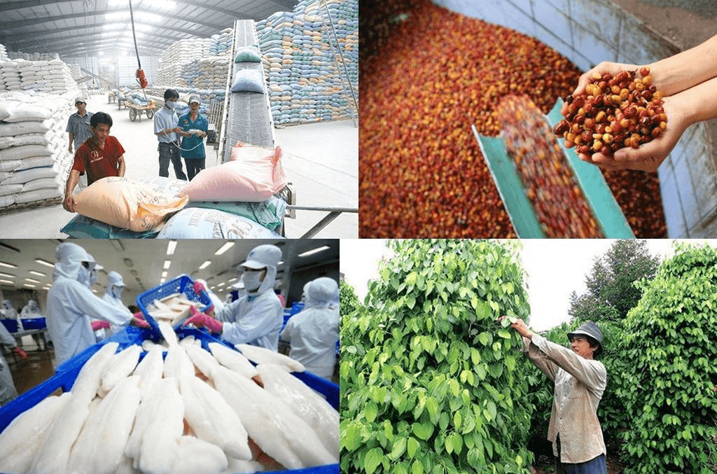 Xuất khẩu chính ngạch: Giải pháp nào?