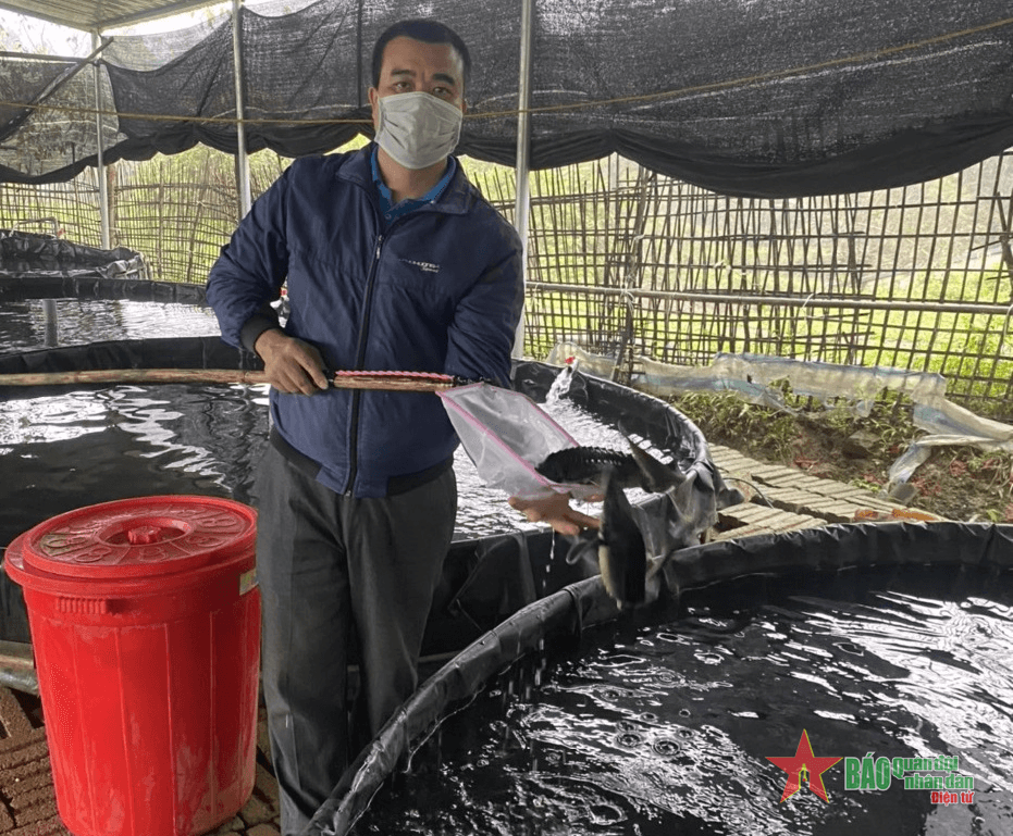 Làm giàu từ nghề nuôi cá tầm