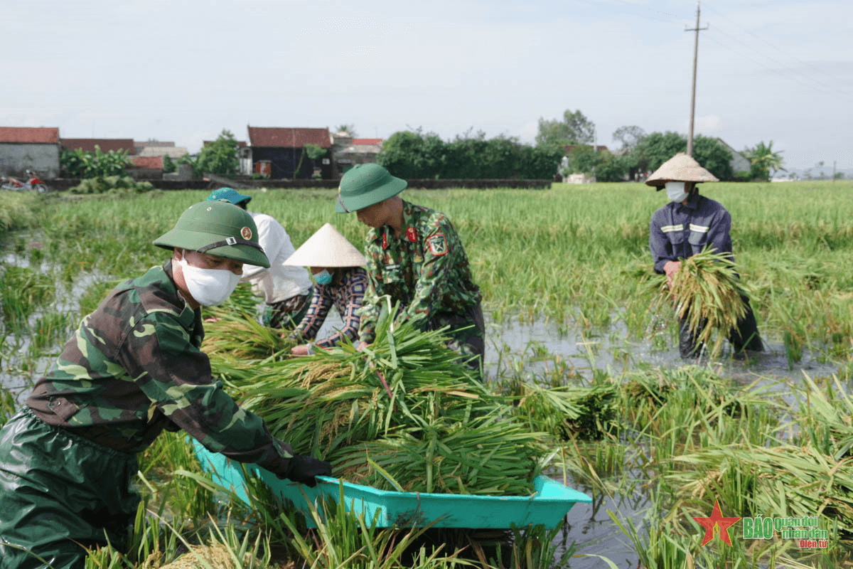 Trân quý nét văn hóa Bộ đội Cụ Hồ