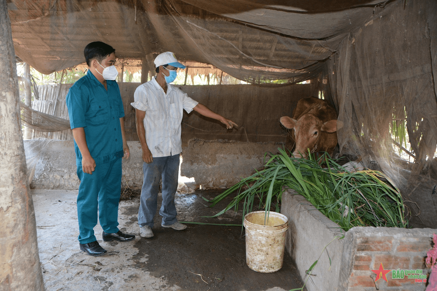 Giúp nhau vượt khó, phát triển kinh tế