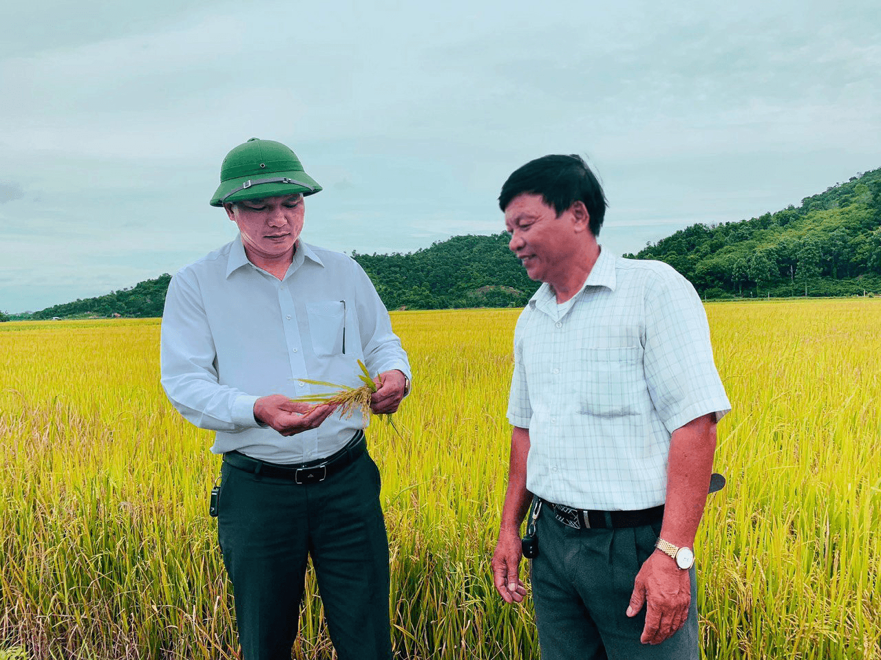 Người biến đất hoang thành vựa lúa vàng