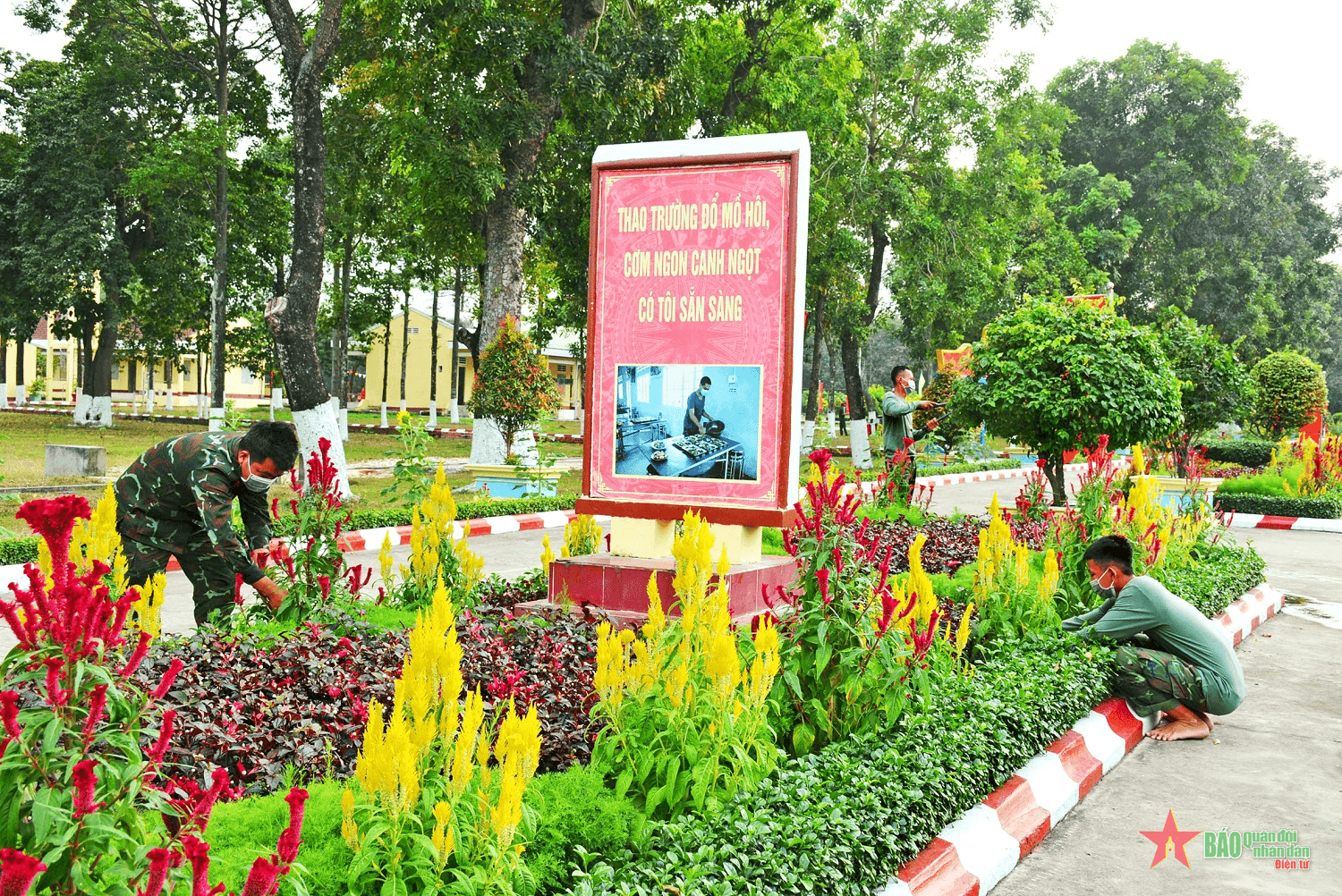 Xây dựng cảnh quan cho đơn vị