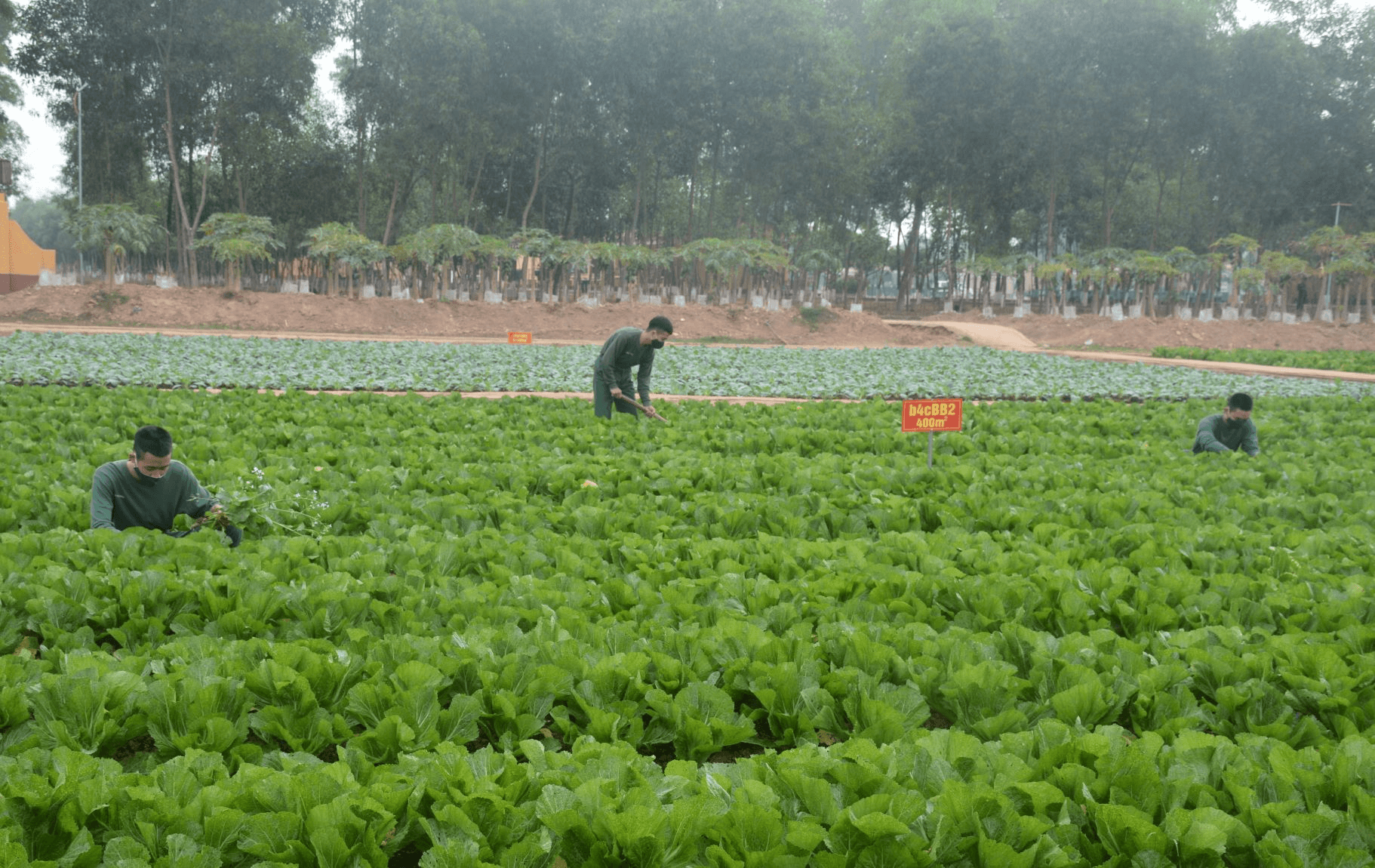 Chuẩn bị chu đáo, bảo đảm thiết thực, hiệu quả
