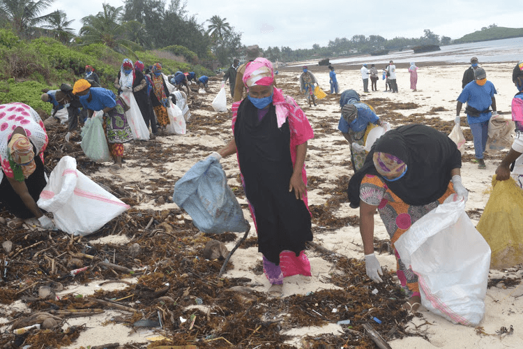 "Cần câu cơm" mới của người dân Watamu