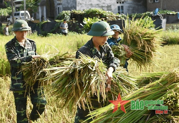 Rèn luyện, nâng cao bản lĩnh chính trị của Bộ đội Cụ Hồ trong tình hình mới