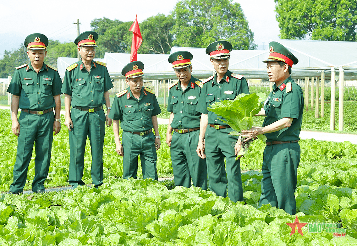 Tổng cục Hậu cần phúc tra xây dựng “Đơn vị nuôi quân giỏi, quản lý quân nhu tốt" tại Trung đoàn 24