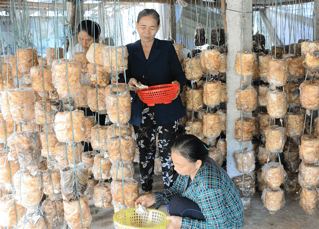 Đà Nẵng: Huy động các nguồn lực nâng cao chất lượng sống cho người nghèo